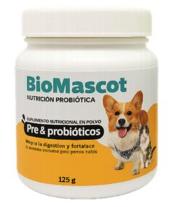 Probiótico Avanzado para Gatos Senior